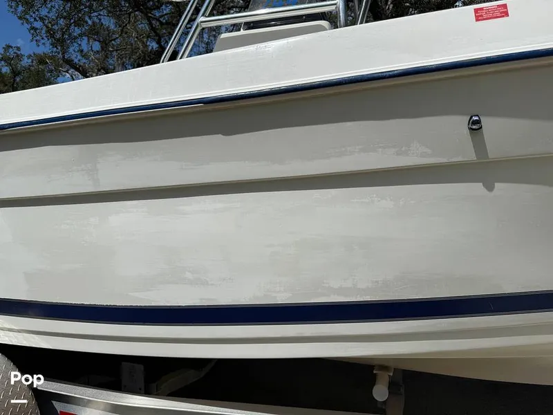 Slide: The Image of Cobia 244 2000 - 15831521