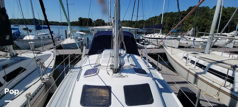 Slide: The Image of Hunter 320 2000 - 15849759