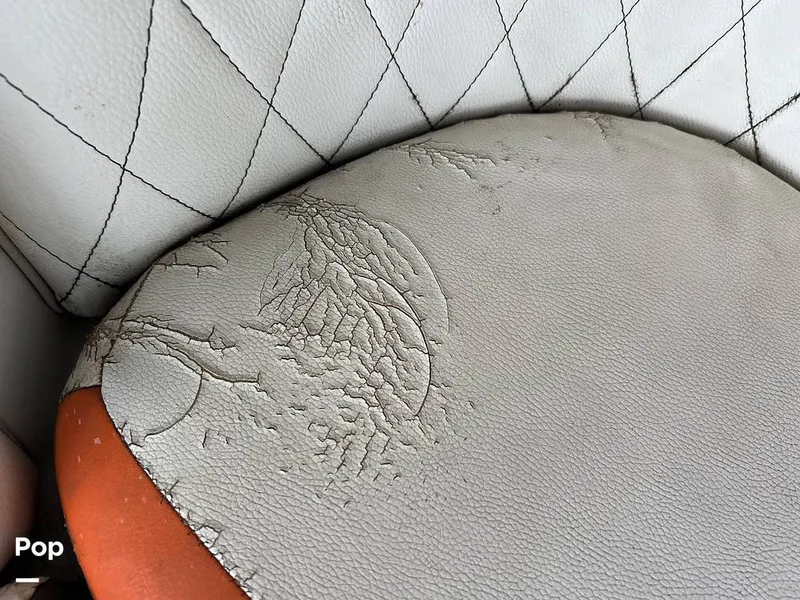 Slide: The Image of Tige Z1 2013 - 15817678