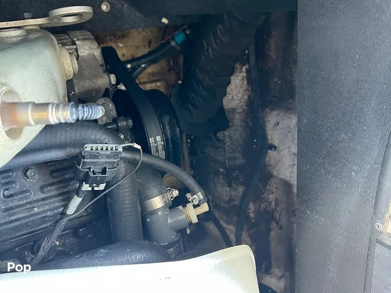 Slide: The Image of Tige Z1 2013 - 15817669