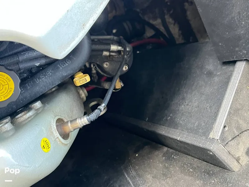 Slide: The Image of Tige Z1 2013 - 15817673