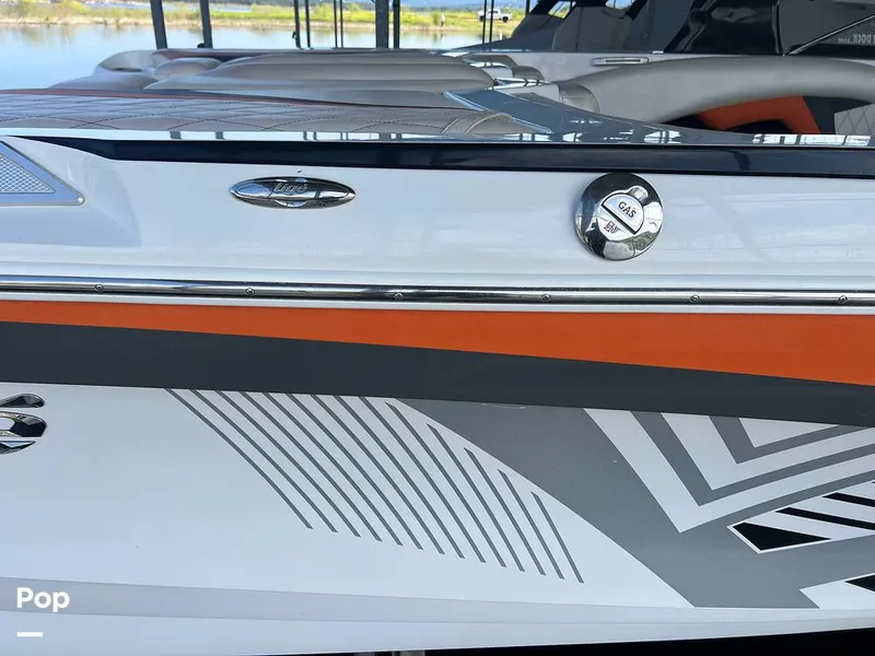 Slide: The Image of Tige Z1 2013 - 15817694