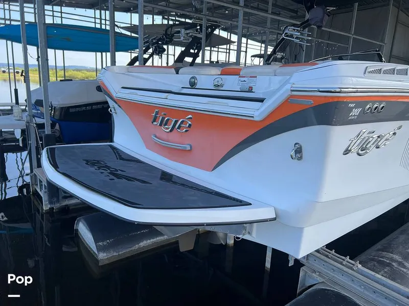 Slide: The Image of Tige Z1 2013 - 15817696