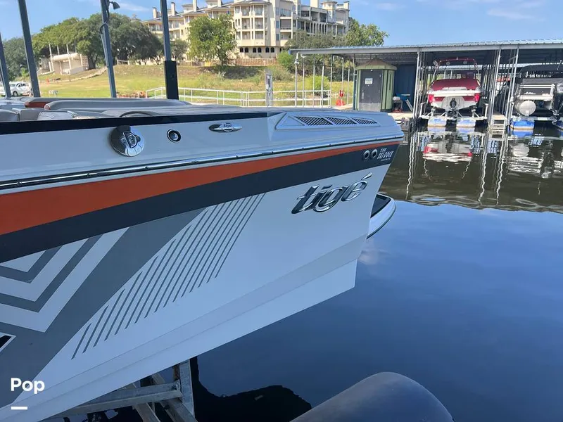 Slide: The Image of Tige Z1 2013 - 15817704