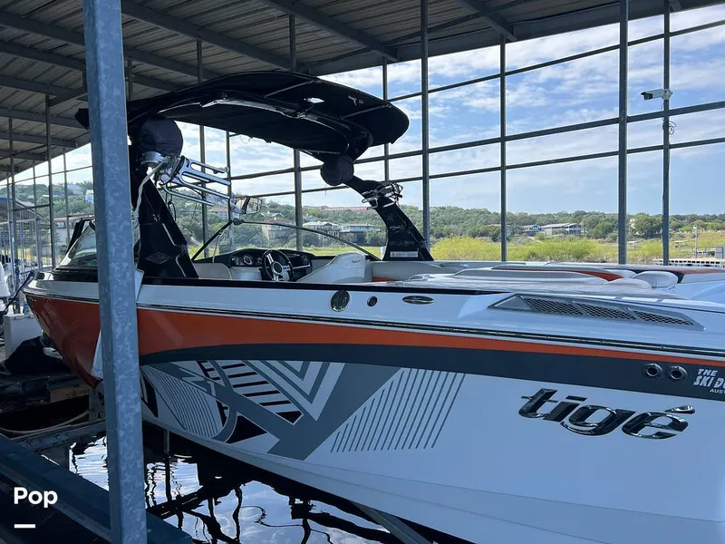 Slide: The Image of Tige Z1 2013 - 15817652