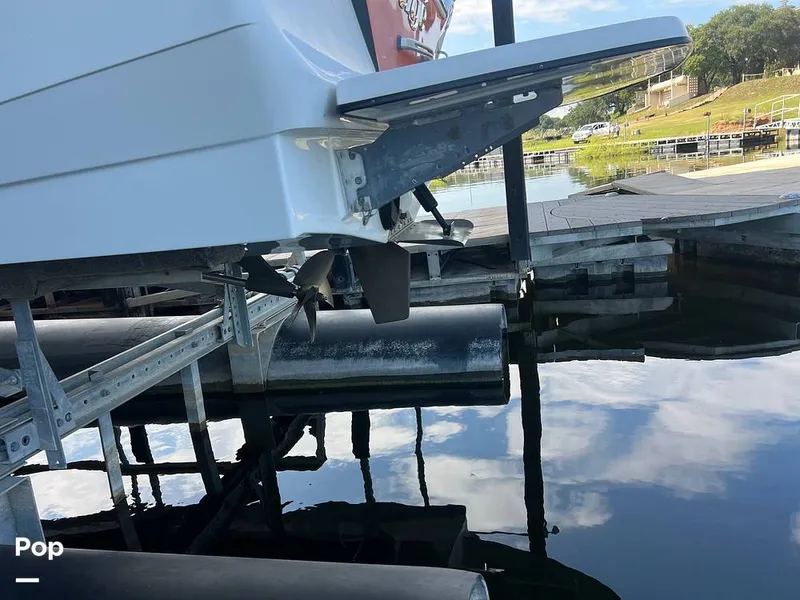 Slide: The Image of Tige Z1 2013 - 15817708