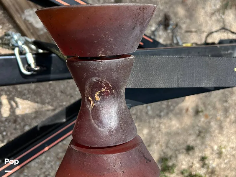 Slide: The Image of Tige Z1 2013 - 15817725