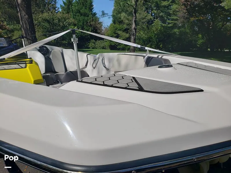 Slide: The Image of Scarab 165 ID 2018 - 15894642