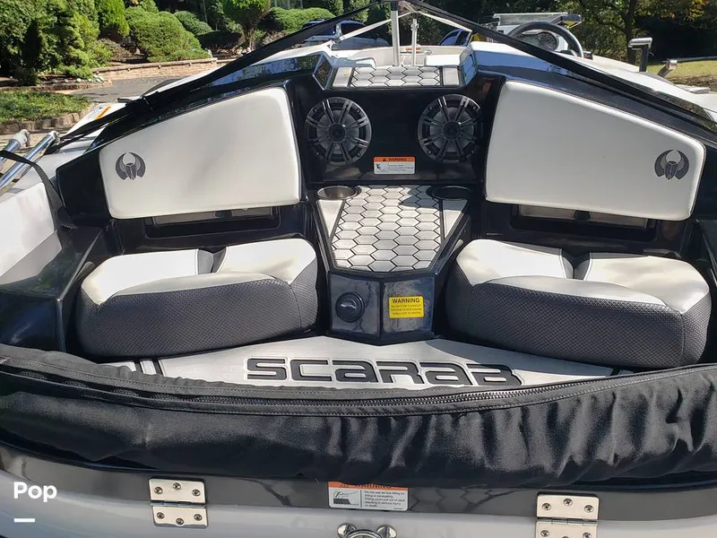 Slide: The Image of Scarab 165 ID 2018 - 15894650