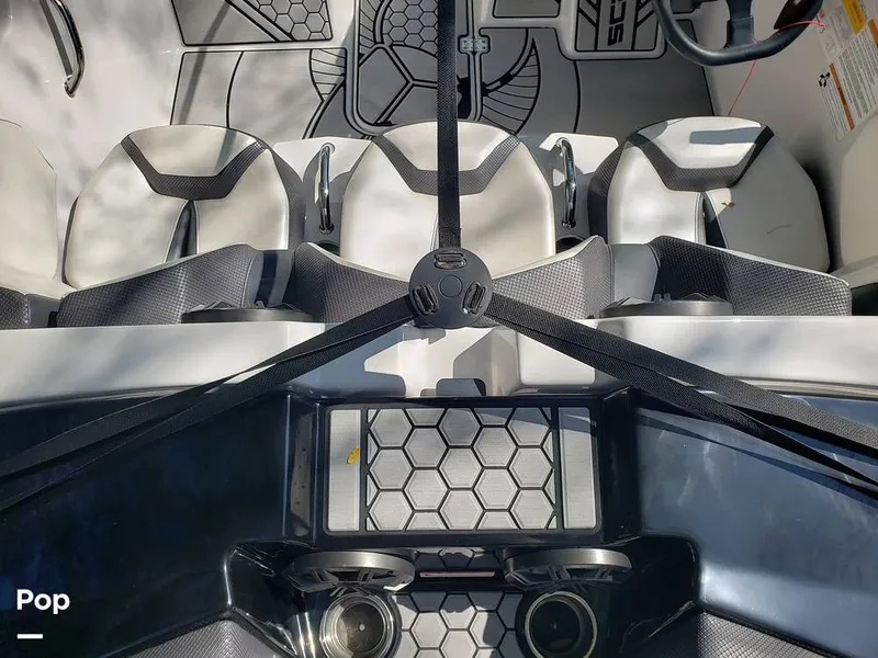 Slide: The Image of Scarab 165 ID 2018 - 15894655