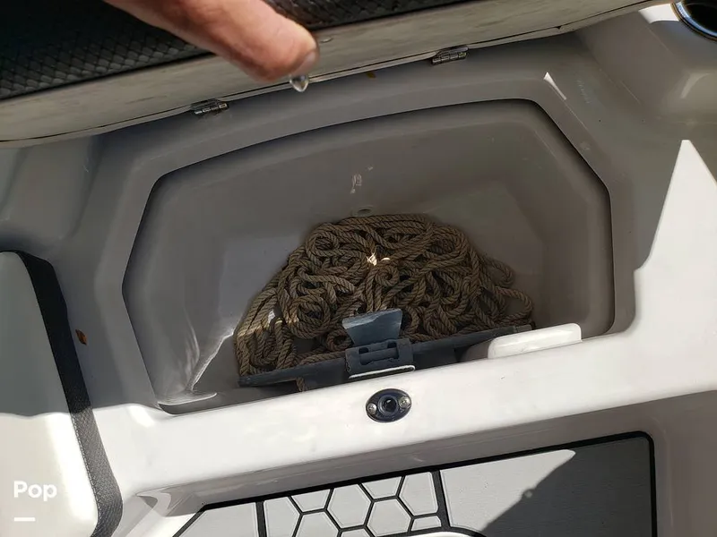 Slide: The Image of Scarab 165 ID 2018 - 15894661