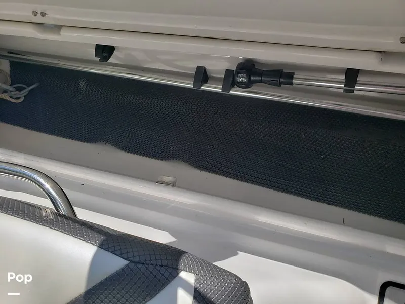 Slide: The Image of Scarab 165 ID 2018 - 15894667