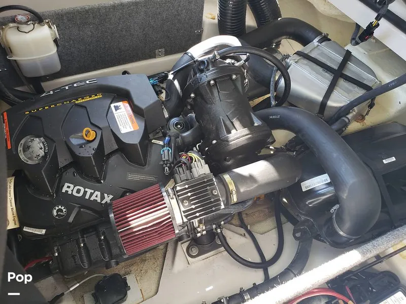 Slide: The Image of Scarab 165 ID 2018 - 15894681