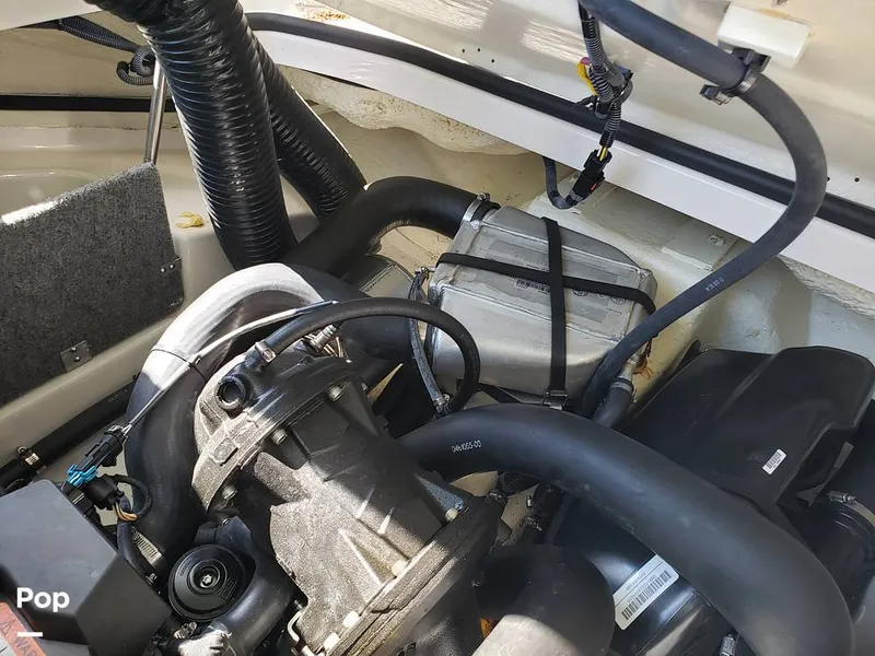 Slide: The Image of Scarab 165 ID 2018 - 15894682