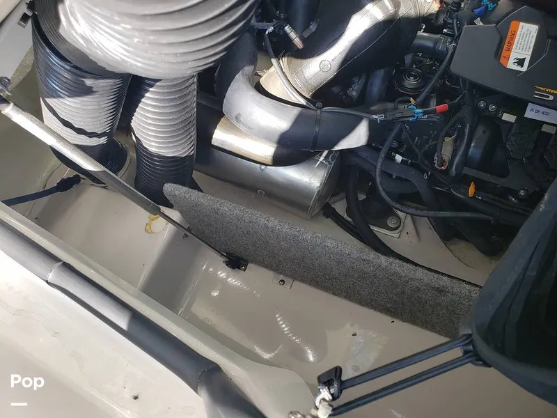 Slide: The Image of Scarab 165 ID 2018 - 15894685