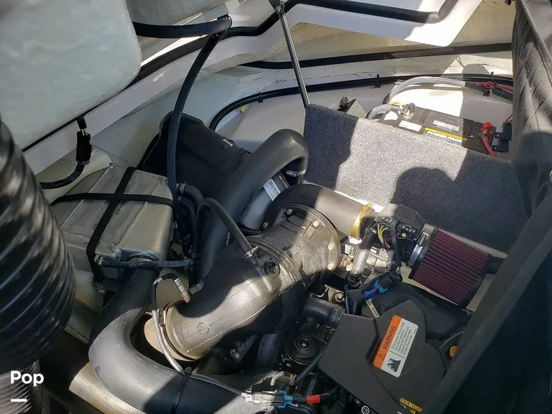 Slide: The Image of Scarab 165 ID 2018 - 15894686