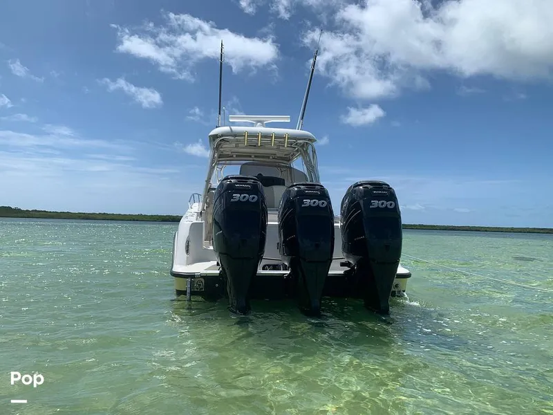 Slide: The Image of Hydra-Sports 33VX 2005 - 15912132