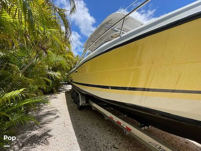 Slide: The Image of Hydra-Sports 33VX 2005 - 15912155