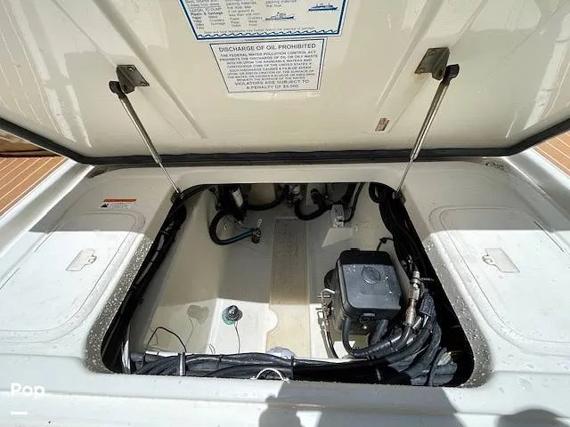 Slide: The Image of Hydra-Sports 33VX 2005 - 15912176