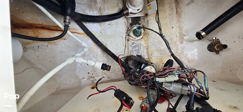 Slide: The Image of Regulator Marine 23 FS 2005 - 15839067