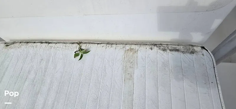 Slide: The Image of Regulator Marine 23 FS 2005 - 15839005