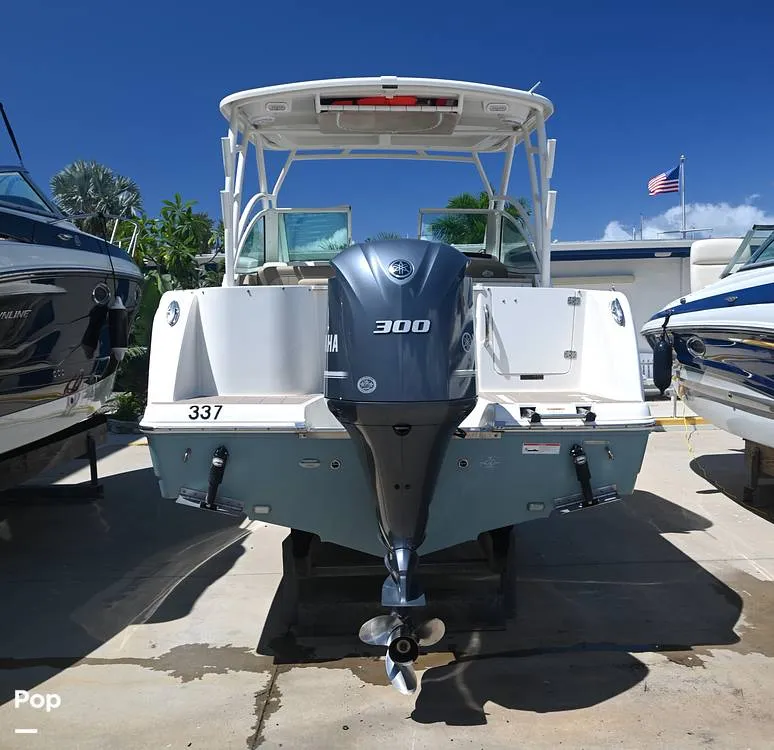 Slide: The Image of Sailfish 245 DC 2021 - 15861597