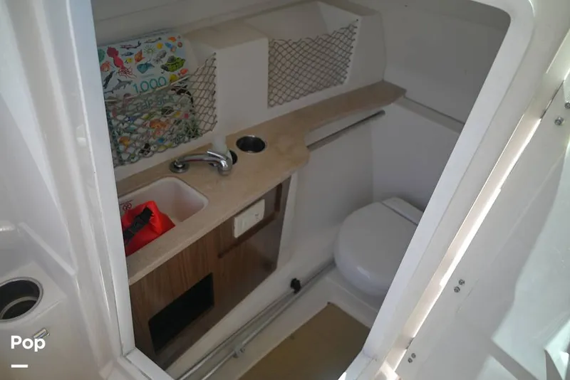 Slide: The Image of Sailfish 245 DC 2021 - 15887323