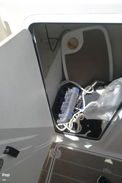 Slide: The Image of Sailfish 245 DC 2021 - 15861495