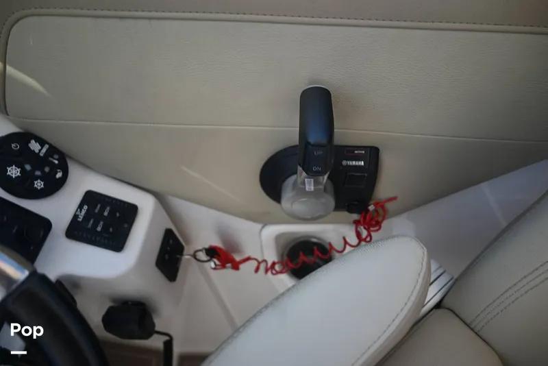 Slide: The Image of Sailfish 245 DC 2021 - 15861523