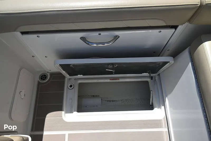 Slide: The Image of Sailfish 245 DC 2021 - 15861547