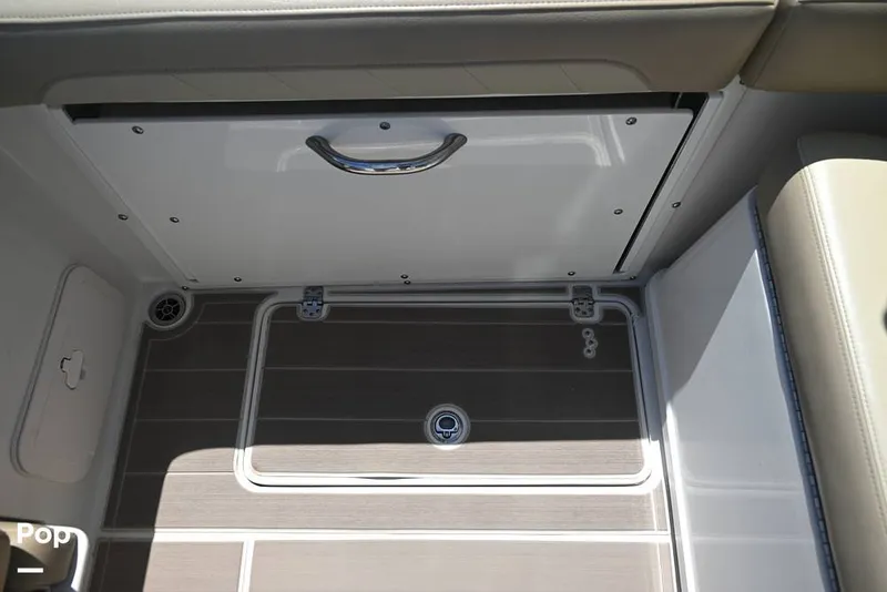 Slide: The Image of Sailfish 245 DC 2021 - 15861550