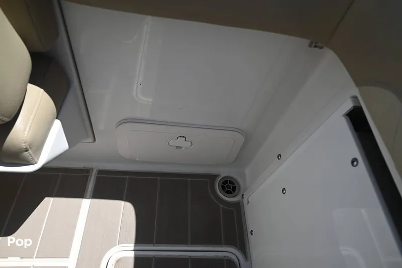 Slide: The Image of Sailfish 245 DC 2021 - 15861551