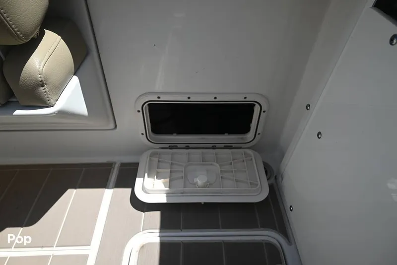 Slide: The Image of Sailfish 245 DC 2021 - 15861553