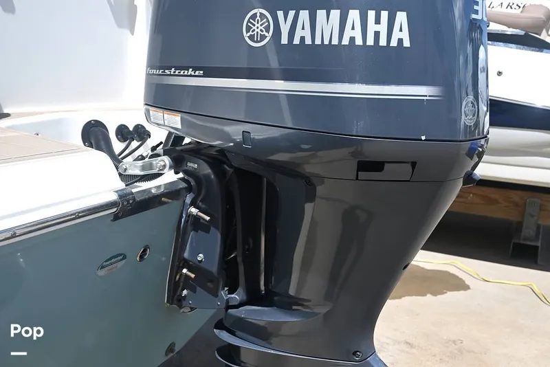 Slide: The Image of Sailfish 245 DC 2021 - 15861567