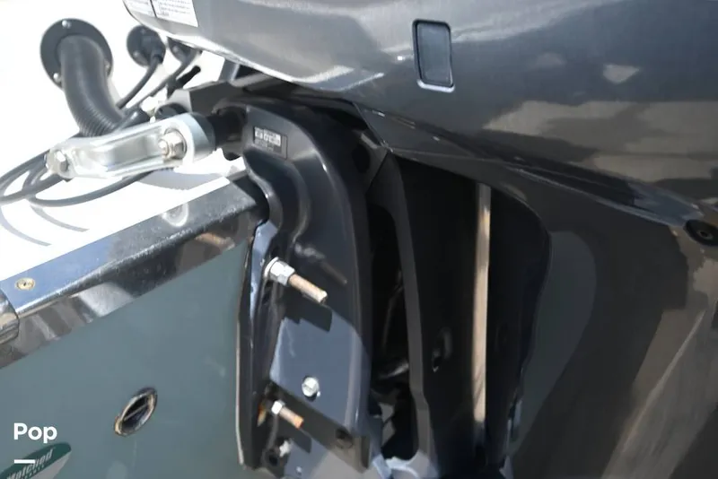 Slide: The Image of Sailfish 245 DC 2021 - 15861577