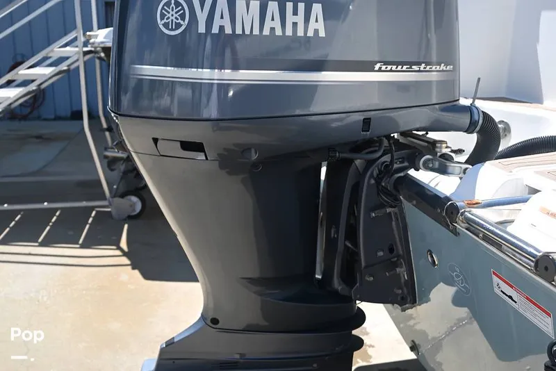 Slide: The Image of Sailfish 245 DC 2021 - 15861568