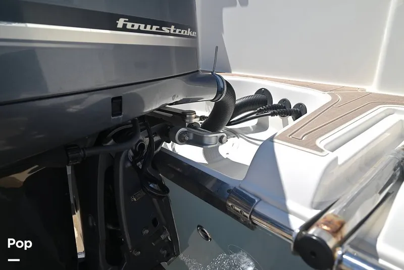 Slide: The Image of Sailfish 245 DC 2021 - 15861578