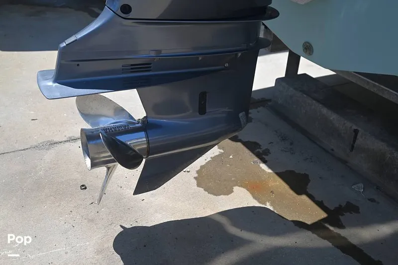 Slide: The Image of Sailfish 245 DC 2021 - 15861573