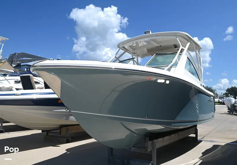 Slide: The Image of Sailfish 245 DC 2021 - 15887819