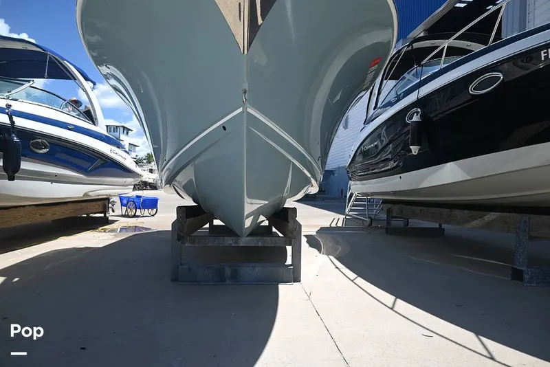 Slide: The Image of Sailfish 245 DC 2021 - 15861598