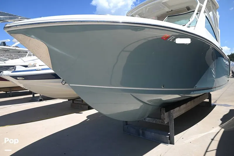 Slide: The Image of Sailfish 245 DC 2021 - 15861580