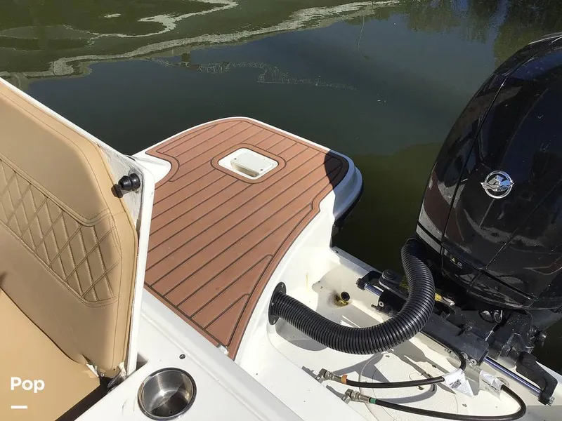 Slide: The Image of Trophy 22CC 2024 - 15818147