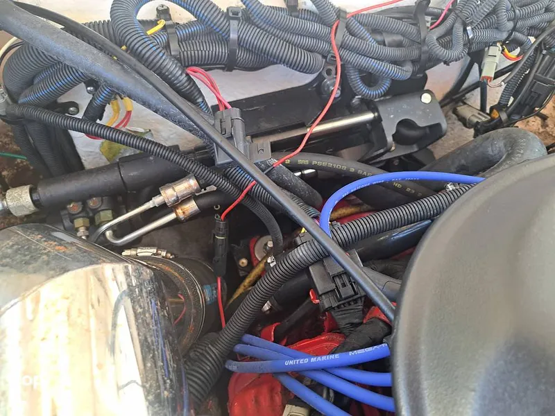 Slide: The Image of Chaparral Xtreme 244 2010 - 15848271