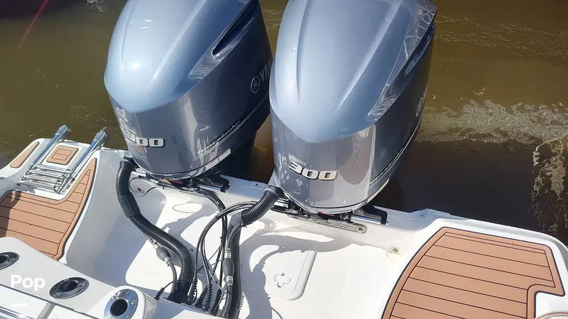 Slide: The Image of Bait Well - 15852366