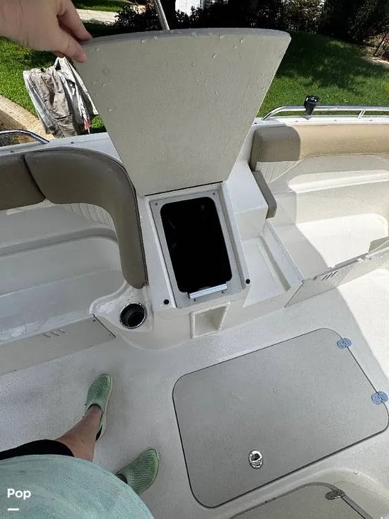 Slide: The Image of Stingray 192SC 2019 - 15837258