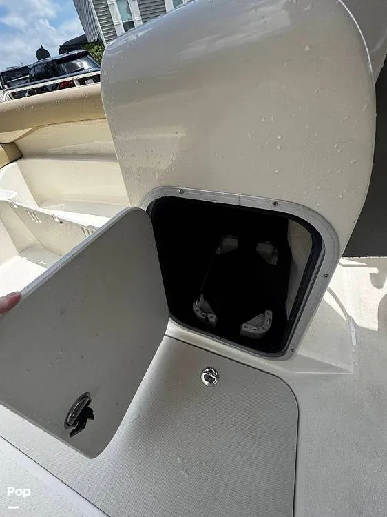 Slide: The Image of Stingray 192SC 2019 - 15837259