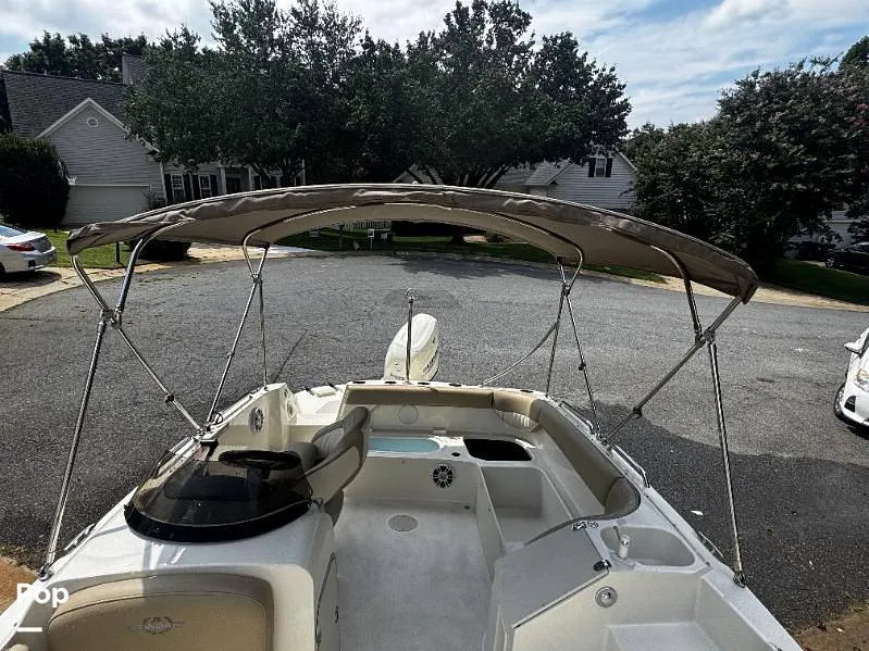 Slide: The Image of Stingray 192SC 2019 - 15837261