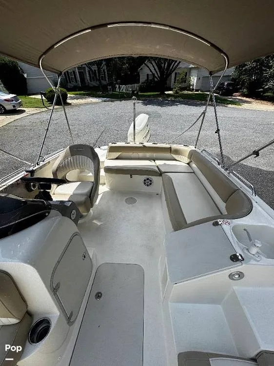 Slide: The Image of Stingray 192SC 2019 - 15837262