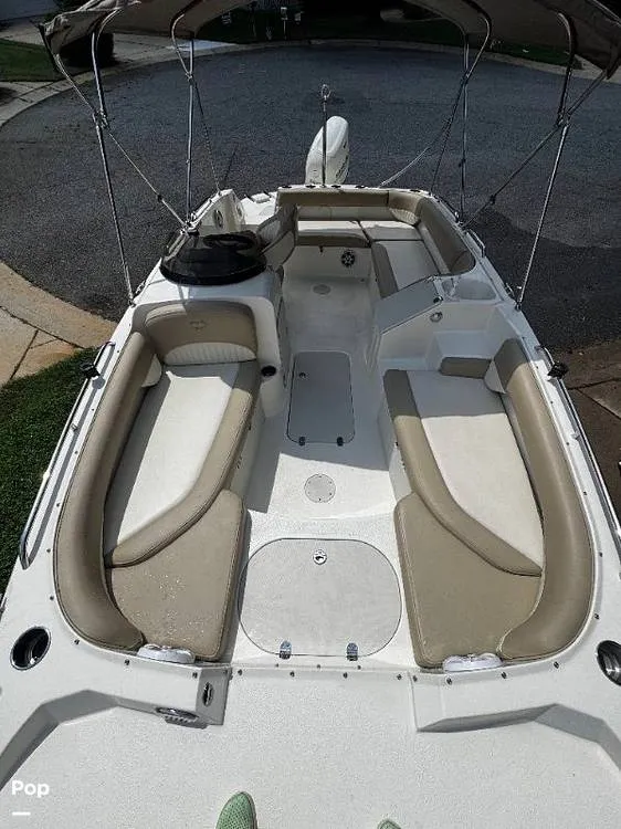 Slide: The Image of Stingray 192SC 2019 - 15837264