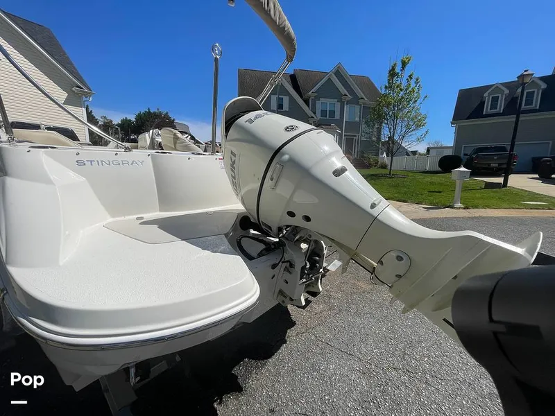 Slide: The Image of Stingray 192SC 2019 - 16341145